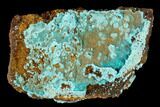 Fibrous Rosasite Crystal Cluster - Mexico #119220-1